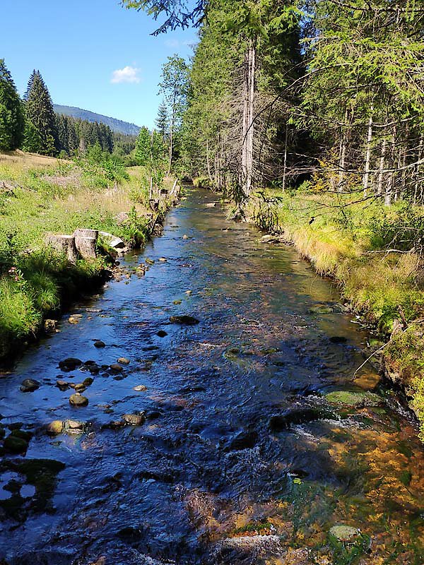 Fluß im Bayerischen Wald Fluß im Bayerischen Wald